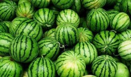 今日吃瓜全集完整版,揭秘娱乐圈幕后真相，带你领略明星们的真实生活